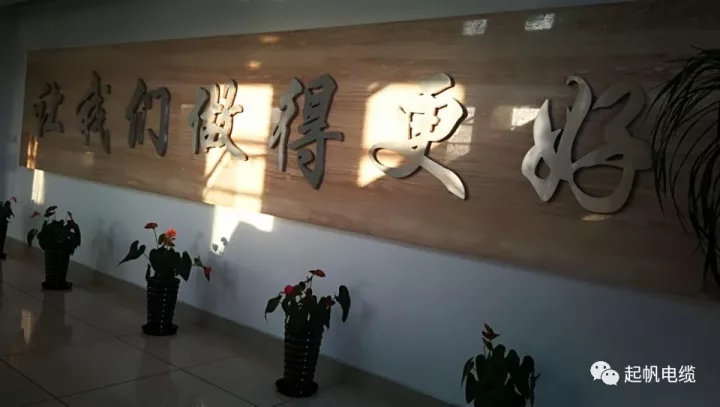 第六届金山区区长质量奖公布，起帆电缆周供华榜上有名